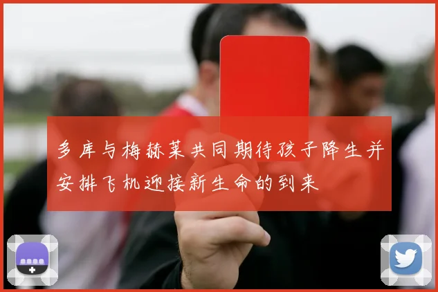 多库与梅赫莱共同期待孩子降生并安排飞机迎接新生命的到来