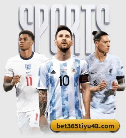 bet365体育 APP