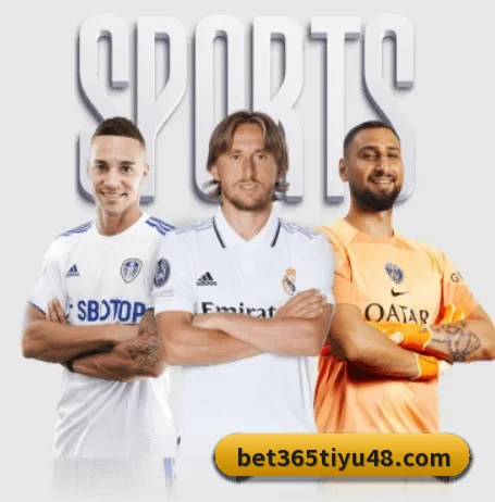 bet365体育 APP 界面